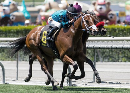 Stormy Liberal wins the 2017 Daytona Stakes