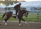 Always Dreaming Professional in Latest Gallop Always Dreaming Professional in Latest Gallop