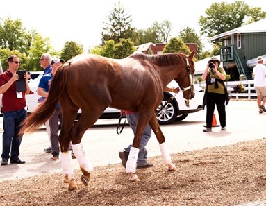 Senior Investment Arrives at Pimlico, May 16, 2017