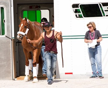 Hence arrives at Pimlico - May 16, 2017