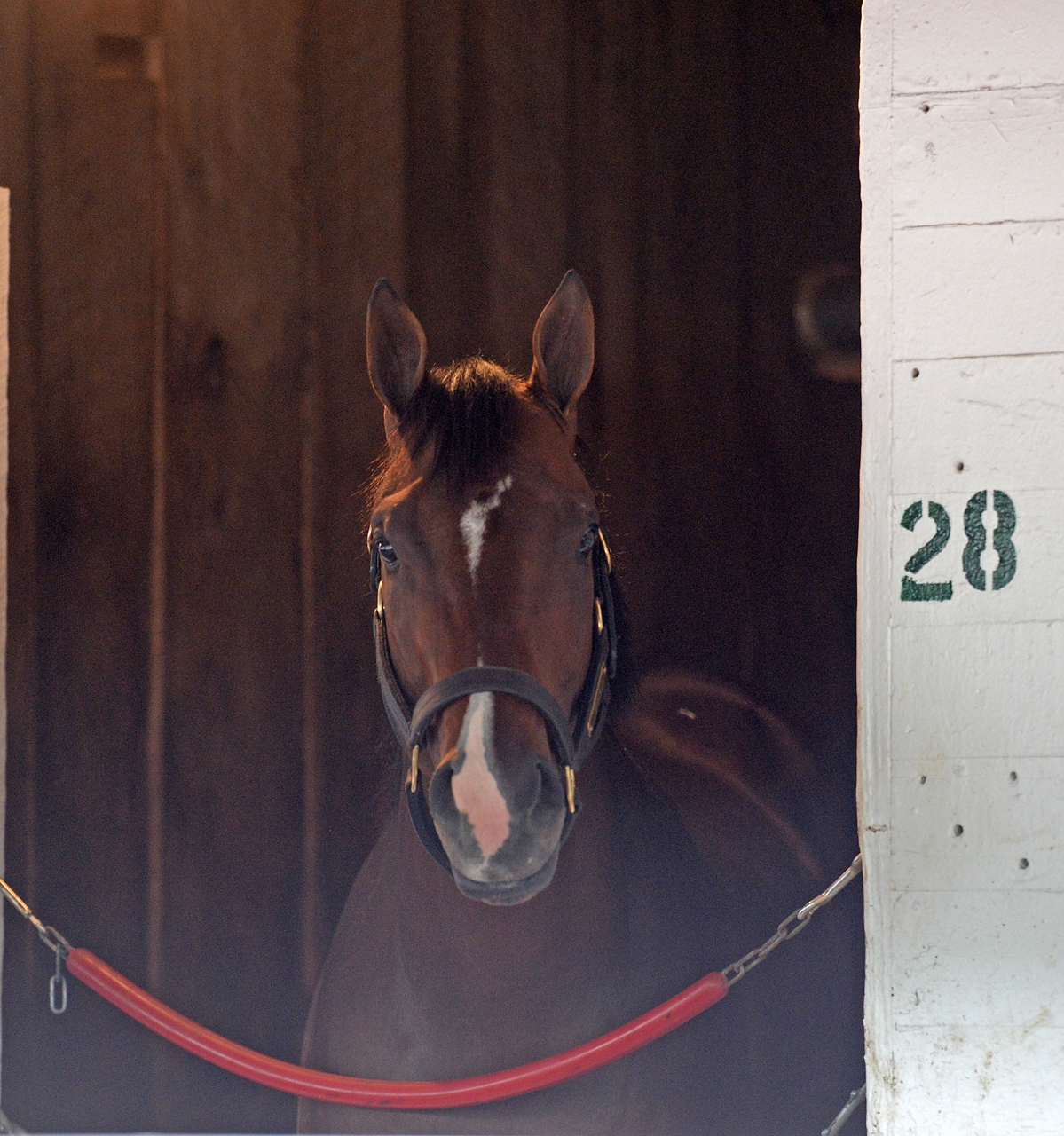 Always Dreaming wins Kentucky Derby, Villager's horse Girvin comes in 13th Always Dreaming wins Kentucky Derby, Villager's horse Girvin comes in 13th