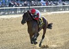 Connect opens a 4 3/4-length lead to score in the Westchester Stakes