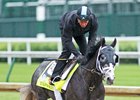 Tapwrit, galloping May 4 at Churchill Downs
