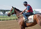 Conquest Mo Money at Pimlico prior to the Preakness