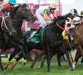 Ben's Cat breaking from the gate in the Jim McKay Turf Sprint on Black Eyed Susan Day