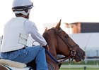 Fern Circle Stables' Senior Investment, a son of Discreetly MIne