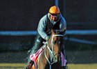 Miss Sky Warrior gallops at Churchill Downs ahead of the Kentucky Oaks May 2