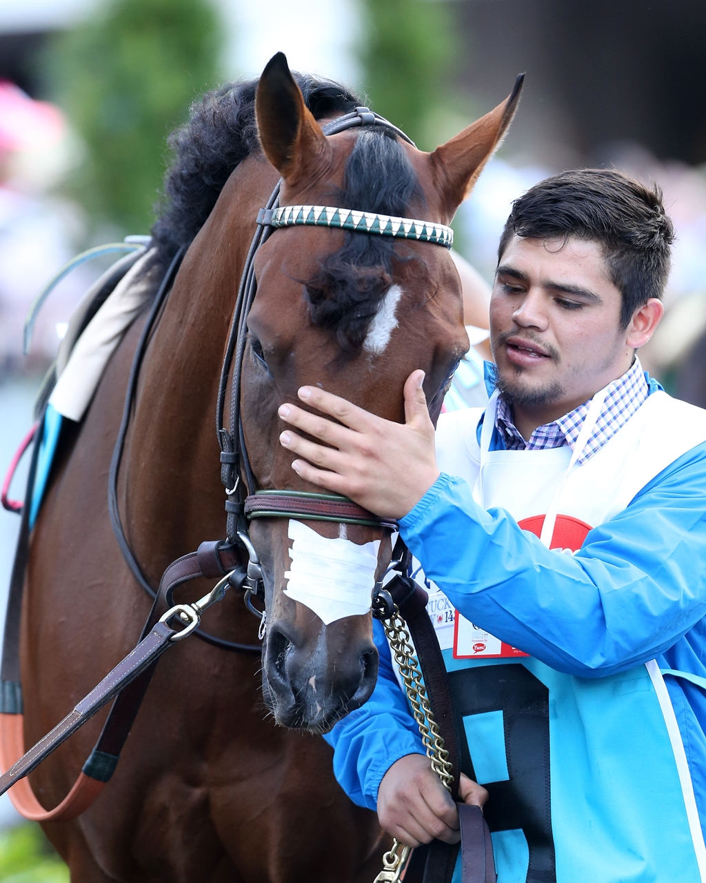 irapp horse irapp horse