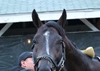 Girvin Has Final Work Ahead of Haskell Girvin Has Final Work Ahead of Haskell