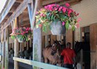 Fasig-Tipton Midlantic 2-year-olds in training sale begins May 22