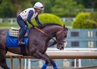 Arrogate Likely to Return in San Diego Handicap Arrogate Likely to Return in San Diego Handicap