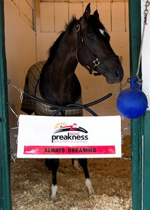 Always Dreaming - Pimlico - May 12, 2017