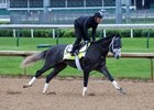 Taprit was a $1.2 million yearling purchase