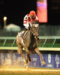 Breeders' Cup Enjoys First Day Increases Breeders' Cup Enjoys First Day Increases