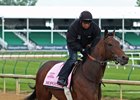 Mopotism training at Churchill Downs before the Kentucky Oaks