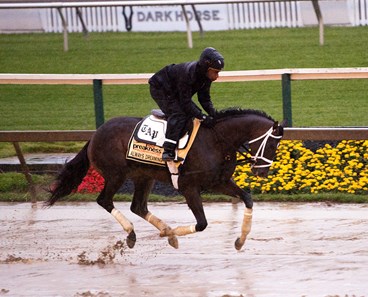 Always Dreaming gallops at Pimilco Race Course May 13
