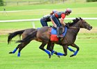 Miss Temple City worked with Quidura over the Fair Hill turf