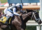 Grade 1 Winner Illuminant Retired Grade 1 Winner Illuminant Retired