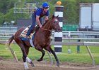 Multiplier, with trainer Brendan Walsh aboard, gallop May 18 at Pimlico