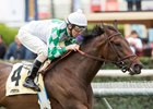 Sircat Sally wins the 2017 Senorita Stakes (G3T)
