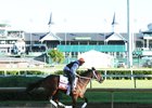 Miss Sky Warrior gallops at Churchill Downs before last year's Kentucky Oaks