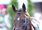 J Boys Echo Confirmed For Belmont Run J Boys Echo Confirmed For Belmont Run