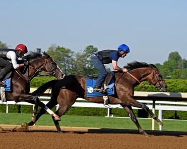 Multiplier with Brendan Walsh in company with War Union has their final work at Keeneland
May 14, 2017 Keeneland in Lexington, Kentucky.