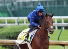 Thunder Snow trains at Churchill Downs prior to the 2017 Kentucky Derby