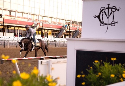Always Dreaming - Pimlico, May 16, 2017