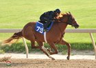 Hip 79 breezes a furlong in :10 flat during Fasig-Tipton's Midlantic sale undertack show