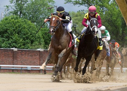 Wild Shot wins the 2017 Pat Day Mile