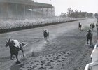 Counterpoint's Peter Pan/Belmont Stakes Double Counterpoint's Peter Pan/Belmont Stakes Double