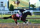 Oaks morning-line favorite Paradise Woods