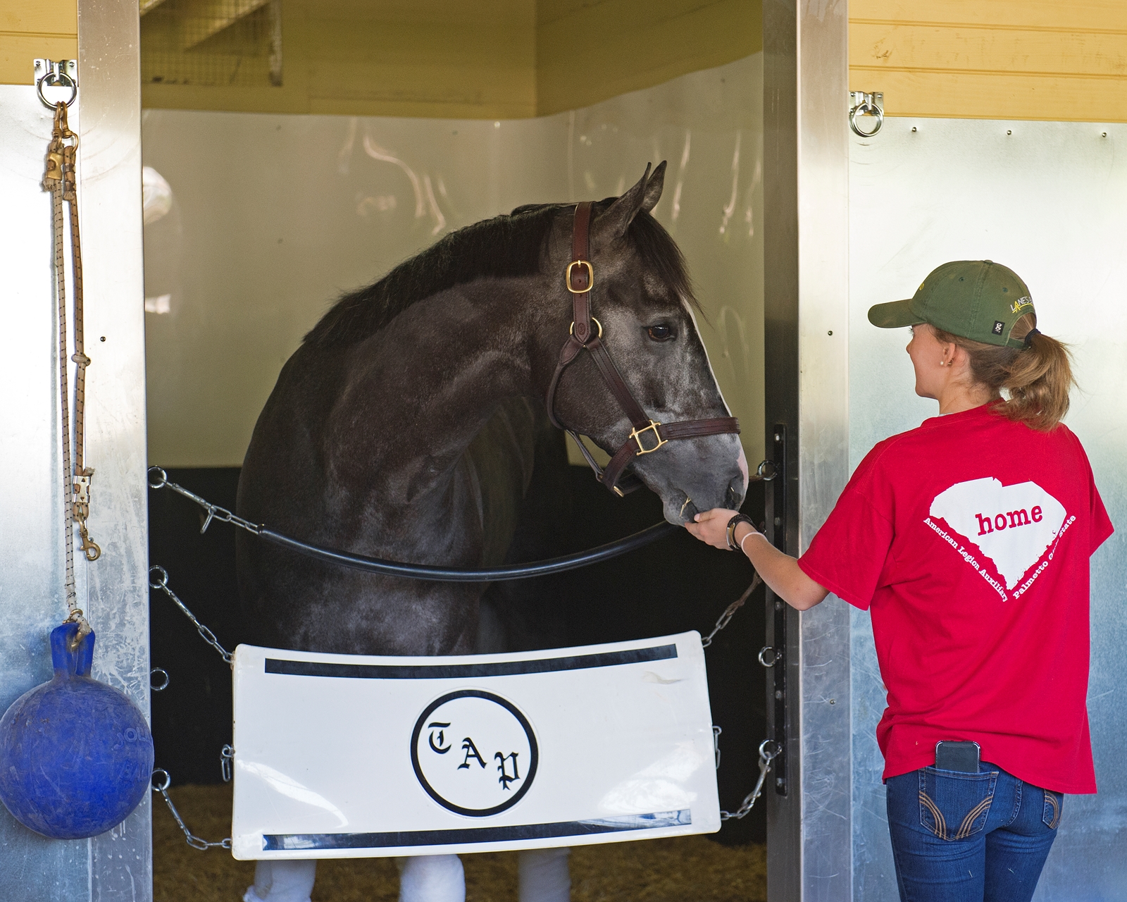Japanese horse Epicharis scratched from Belmont Stakes Japanese horse Epicharis scratched from Belmont Stakes