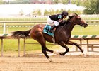 Freedom Child Gets First Winner in Limited View Freedom Child Gets First Winner in Limited View