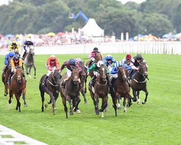 The Tin Man wins the 2017 Diamond Jubilee Stakes