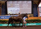 Gregers was the highest price sold during Book 1 of the Magic Millions broodmare sale