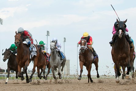 Code Warrior wins the 2017 Hendrie Stakes