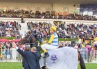 Voador Magee Secures Breeders' Cup Berth Voador Magee Secures Breeders' Cup Berth