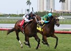 Earth First Winner for Claiborne's Orb Earth First Winner for Claiborne's Orb