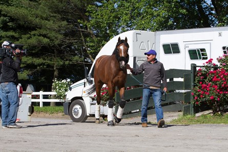 Gormley - Belmont Park, June 7, 2017