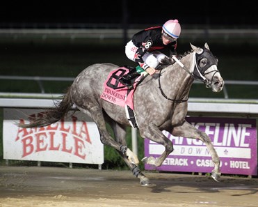 Iron Fist wins the 2017 Evangeline Mile