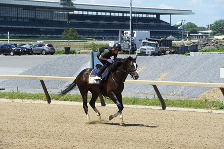 Epicharis - Belmont Park, June 3, 2017