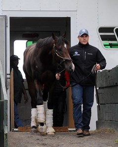 Classic Empire - Belmont Park, June 6, 2017