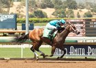 Without being asked, Surrender Now draws away to an eight-length victory in the Landaluce