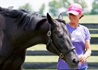 Ben’s Cat at his new home at Chris and Bayne Welker’s Spring Ridge Farm near Versailles, Ky., June 29