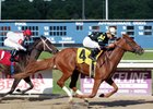 Feisty Embrace is the first winner for freshman sire Brethren