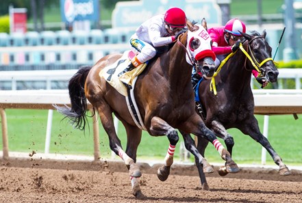 Big Macher wins the 2017 Thor's Echo Handicap