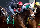 Stronach Stables' Holy Helena winning the Woodbine Oaks