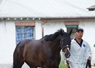Epicharis arrives at Belmont Park after a 24-hour journey from Japan